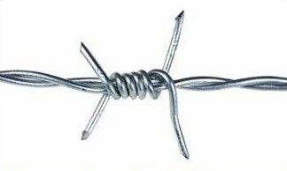 Barbed Wire protective fencing