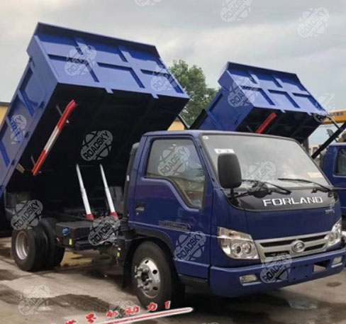 Foton 2T Dump Truck